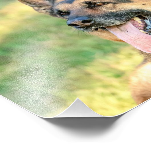 10x8 fotodruck (Ecke)