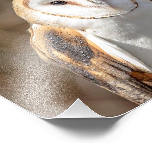 10x8 fotodruck (Ecke)