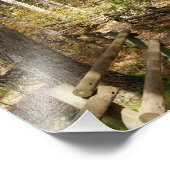 10x8-Fotodruck Fotodruck (Ecke)