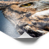 10x8 Großes Horned Owl Portrait Fotodruck (Ecke)