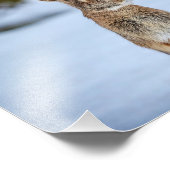 10x8 Kaninchen im Schnee Fotodruck (Ecke)