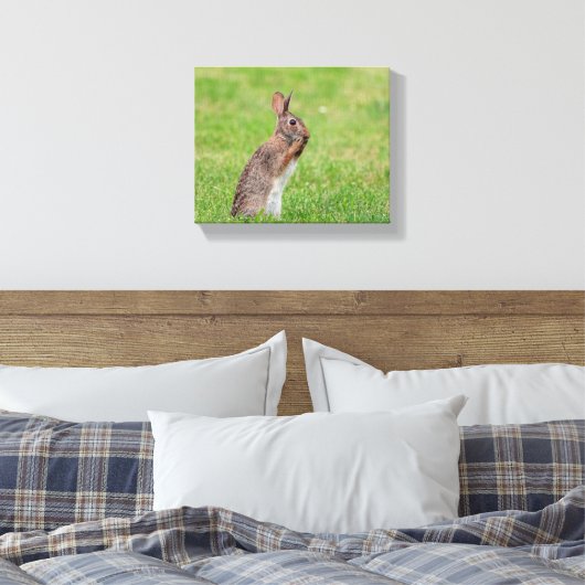 10x8 Kaninchen stehend im Gras und schüchtern auss Leinwanddruck (Insitu (Schlafzimmer))