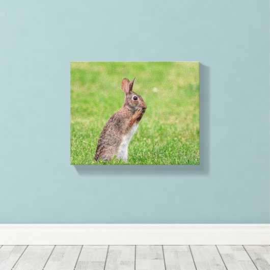 10x8 Kaninchen stehend im Gras und schüchtern auss Leinwanddruck (Insitu (Holzboden))