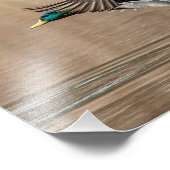 10x8 Mallard Duck im Flug Fotodruck (Ecke)