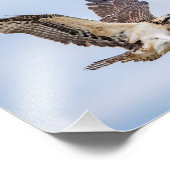 10x8 Osprey Landung im Nest Fotodruck (Ecke)