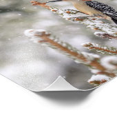 10x8 Rotbauchspecht im Schnee Fotodruck (Ecke)