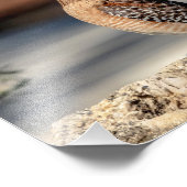 10x8 Roter Schulter-Hawk auf einem Felsen Fotodruck (Ecke)