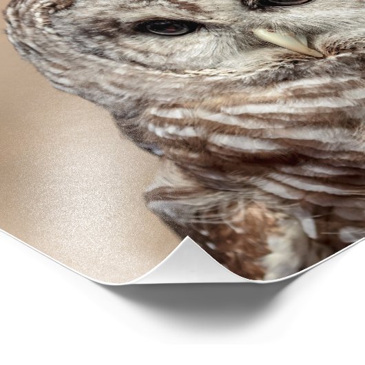 10x8 Schale Fotodruck (Ecke)