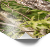 10x8 Schlampe Fotodruck (Ecke)