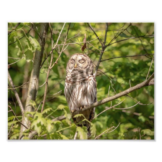 10x8 Schlampe Fotodruck (Vorne)