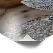 10x8 Schneeeule sitzt auf einem Felsen Fotodruck (Ecke)