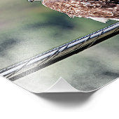 10x8 Ungetüm Rotschwanzfalken Fotodruck (Ecke)