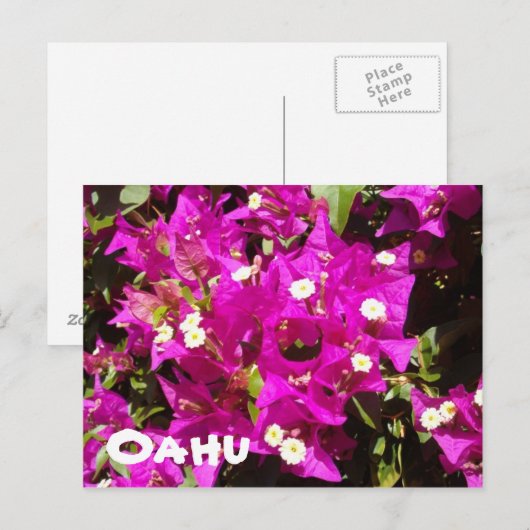 110, Oahu Postkarte (Vorne/Hinten)