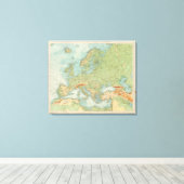 1112 European Physical Leinwanddruck (Insitu (Holzboden))