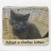 112907 petfinder 028, adoptieren ein mousepad (Vorne)