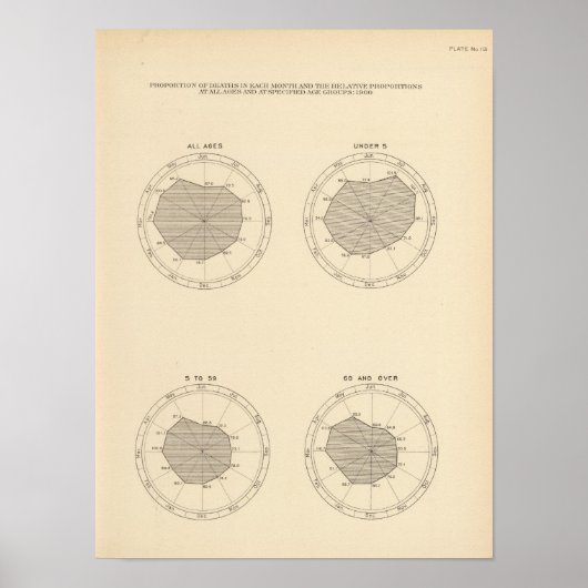 113 Deaths by month 1900 Poster (Vorne)