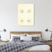113 Todesfälle bis Monat 1900 Leinwanddruck (Insitu (Schlafzimmer))