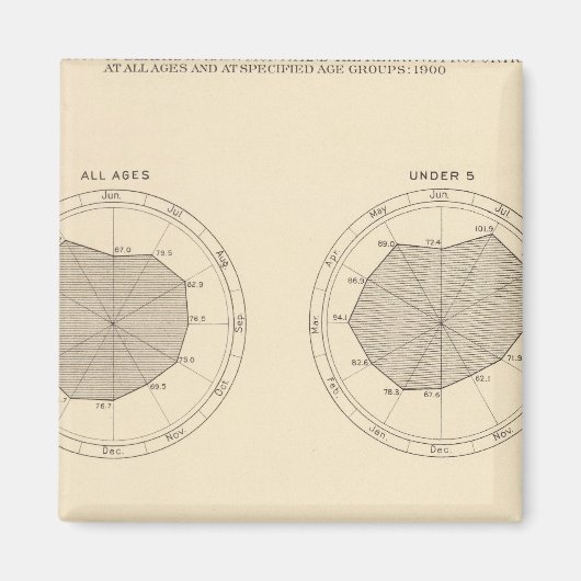113 Todesfälle bis Monat 1900 Magnet (Vorne)