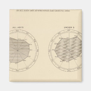 113 Tote im Monat 1900 Magnet