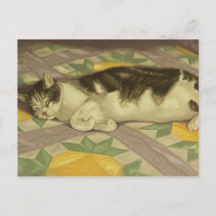 1149 Katze auf Quilt-Postkarte Postkarte