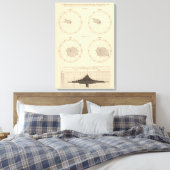 117 Influenza, Typhus 1900, 1890 Leinwanddruck (Insitu (Schlafzimmer))
