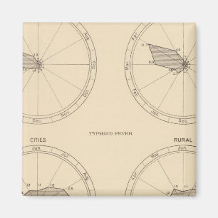 117 Influenza, Typhus 1900, 1890 Magnet