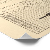 117 Influenza, Typhus 1900, 1890 Poster (Ecke)