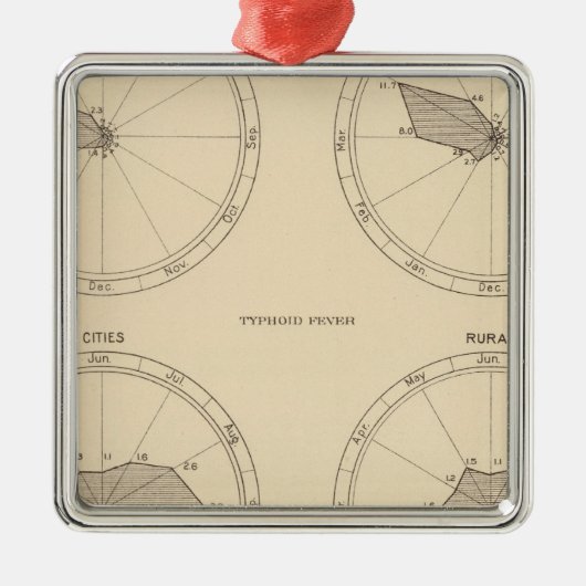 117 Todesgrippe, Typhus 1900, 1890 Ornament Aus Metall (Vorne)