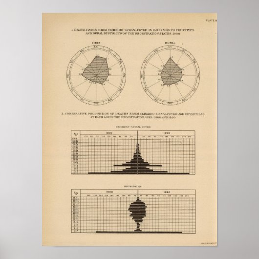 118 Todesfälle Zerebrospinalfieber Poster (Vorne)
