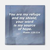 119:114 MAGNET (Vorne)