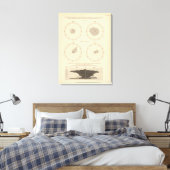 119 Todesalter, Durchfallerkrankungen 1900, 1890 Leinwanddruck (Insitu (Schlafzimmer))
