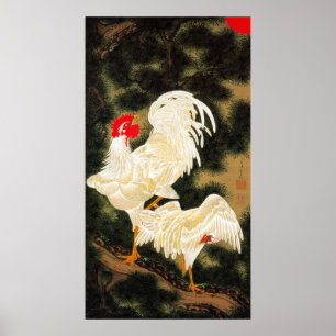 11. 老 松 白 図, 若 Pine-tree & White Chickens, Jakuchū Poster