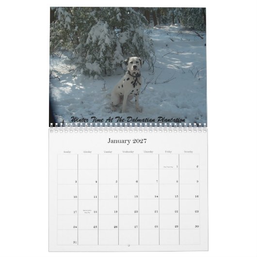 11-2008_02, der doppelte d-Dalmatiner… - Besonders Kalender (Jan 2027)