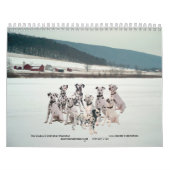 11-2008_02, der doppelte d-Dalmatiner… - Besonders Kalender (Titelbild)