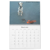 11-2008_02, der doppelte d-Dalmatiner… - Besonders Kalender (Mär 2026)