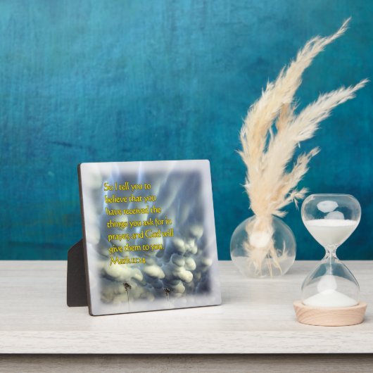 11:24 FOTOPLATTE (InSitu)