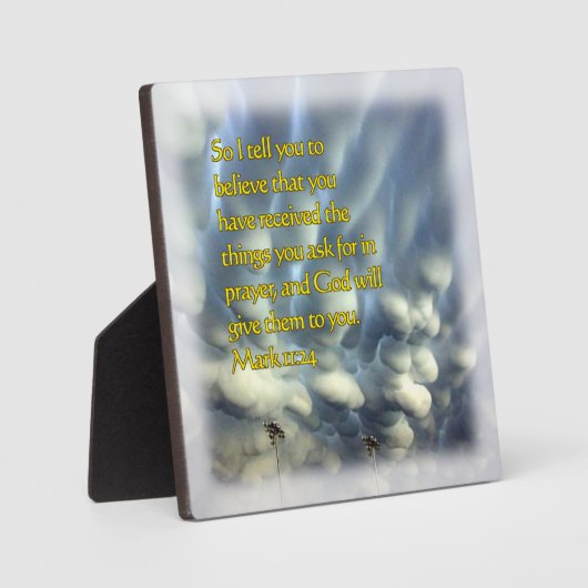 11:24 FOTOPLATTE (Vorderseite)