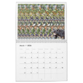 11" breiter 2026 Internationaler Magic Eye-Kalende Kalender (Mär 2026)