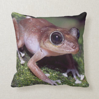 #11-female Baumfrosch Kissen
