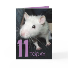 11 heute (anpassbar) Husky rat Birthday Card