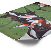 11 koi poster (Ecke)