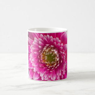 11 oz. Zwei-Tone-klassische Tasse