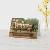 11 Welpen in Folge "sagen Käse-" - Gruß-Karte Karte (Gelbe Blume)