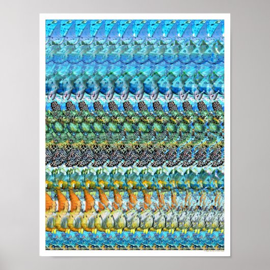 11"x14" Tag, du bist es! 3D-Poster von Magic Eye® Poster (Vorne)