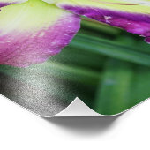 11"x14"-Taglilie Fotodruck (Ecke)