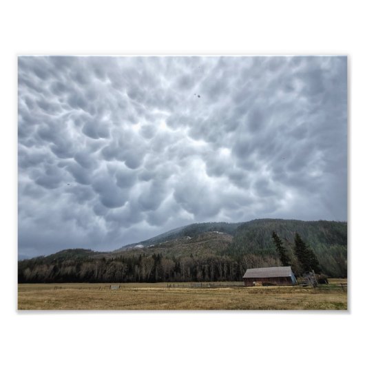 11"x8.5" Foto drucken | | Zedar Mt Mammatus (Vorne)