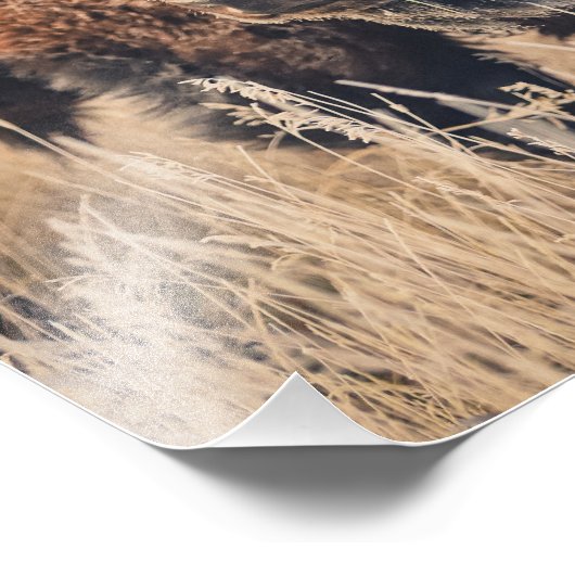 11 x 14 Druck - Frostiger Morgen (Ecke)