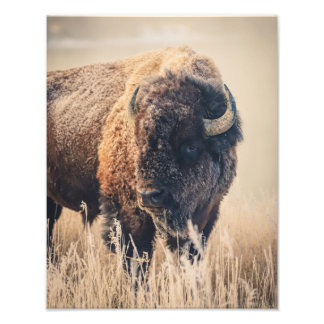 11 x 14 Print - Frosty Morning Fotodruck