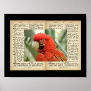 11" x 8,5", Poster (Vintage-Motive mit Vogel und T