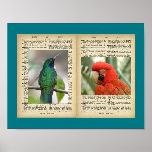 11" x 8,5", Poster (Vintage Muster für Vögel und T (Vorne)